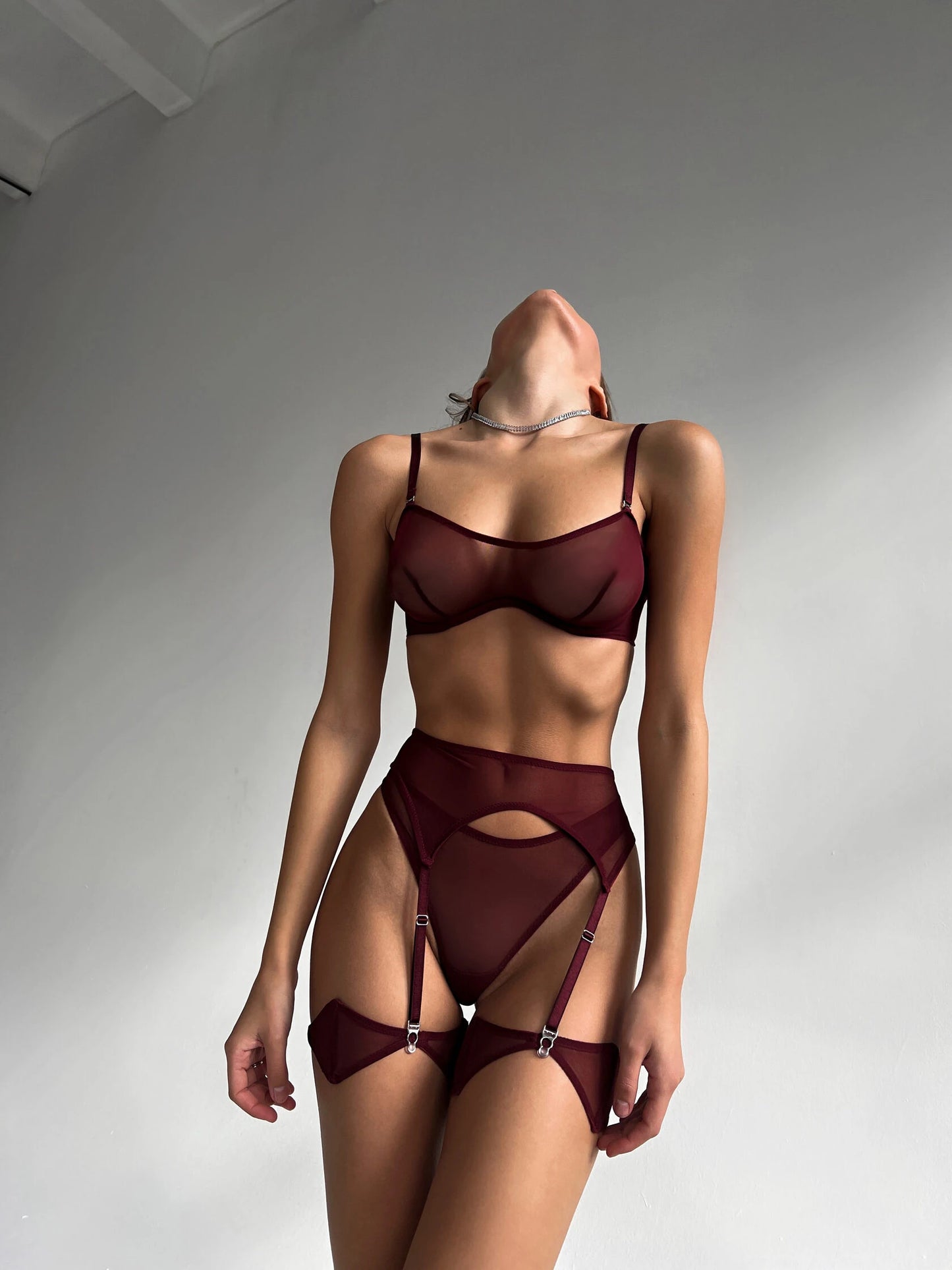 Sensual Lingerie See Through Bra Kit Push Up Seamless Sheer Lace Intimate Soft Sets Garter Underwear Uncensored