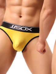Men's Underwear Half Sheath Briefs