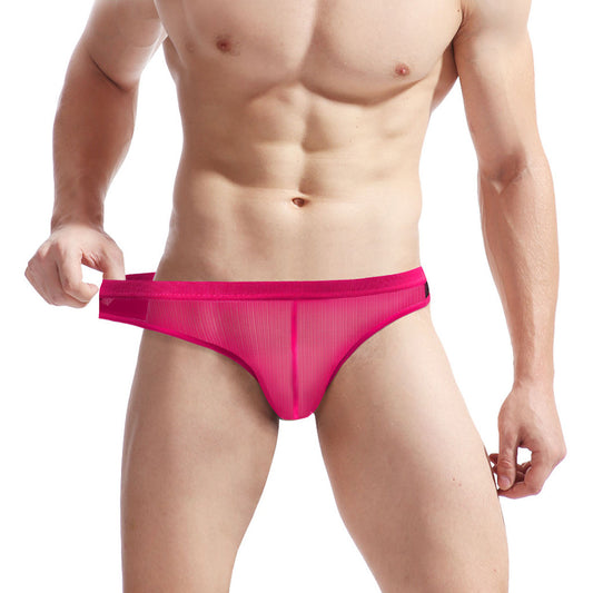 Men's Mesh Transparent Contrast Briefs