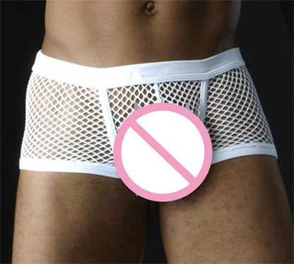 Black White Sexy Mens Boxers Shorts Transparent Mesh See Through  Underpants Low Rise Man Sex Underwear Lingerie Trunk