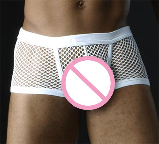 Black White Sexy Mens Boxers Shorts Transparent Mesh See Through  Underpants Low Rise Man Sex Underwear Lingerie Trunk