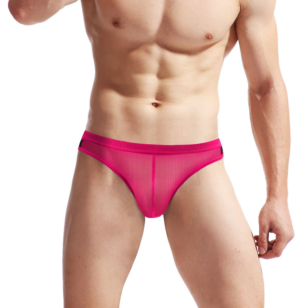 Men's Mesh Transparent Contrast Briefs