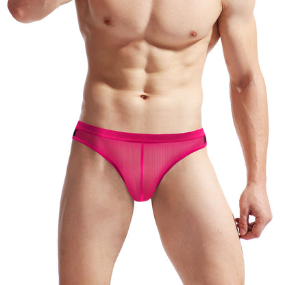 Men's Mesh Transparent Contrast Briefs