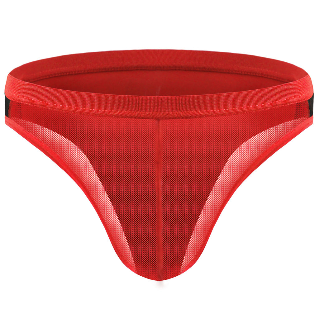 Men's Mesh Transparent Contrast Briefs