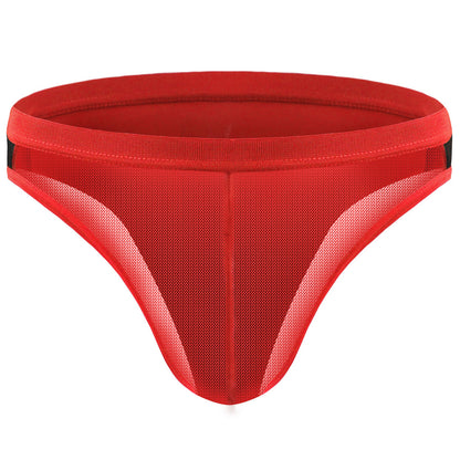 Men's Mesh Transparent Contrast Briefs