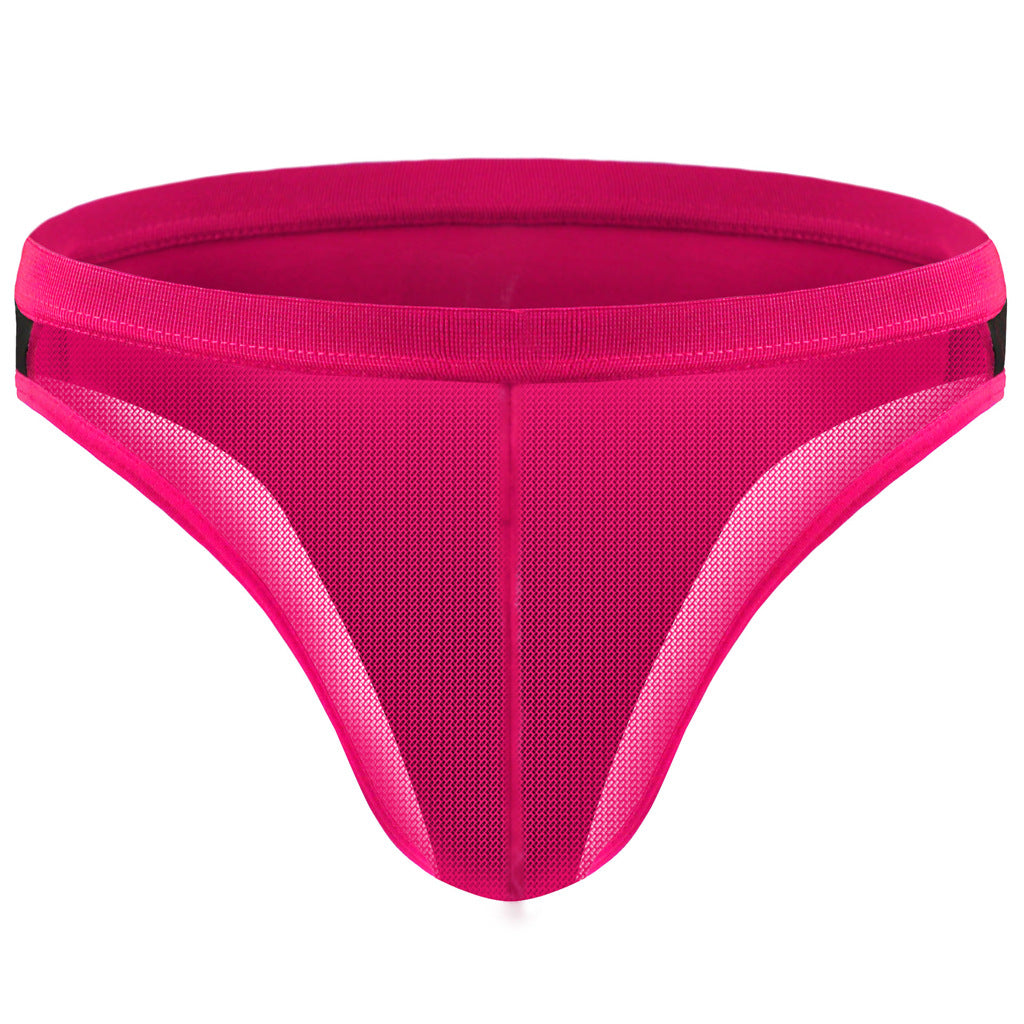 Men's Mesh Transparent Contrast Briefs