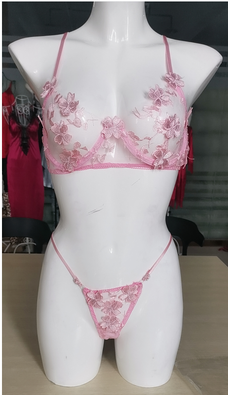 New Sexy Transparent Embroidered Printed Underwear Sexy Suit Two-Piece Set