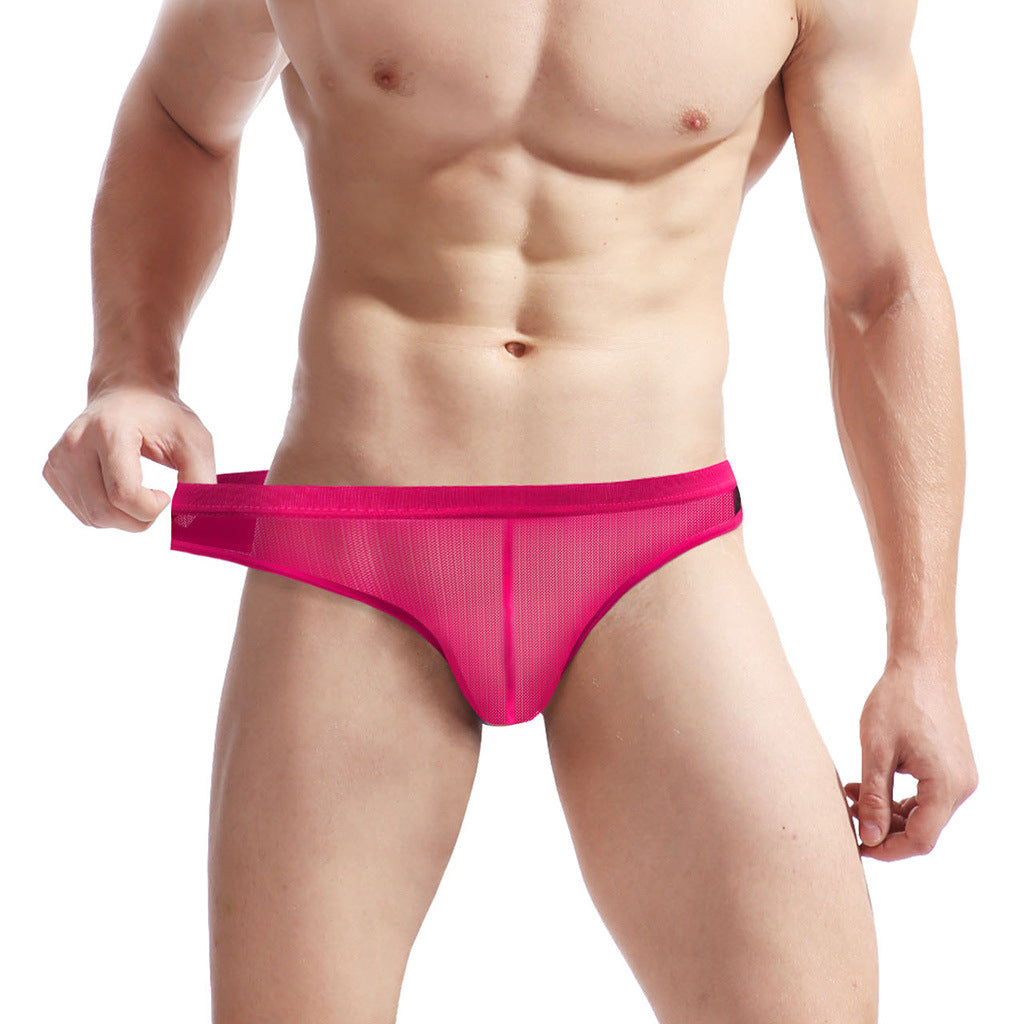 Men's Mesh Transparent Contrast Briefs
